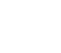 ss