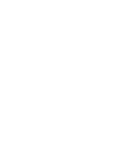 ss